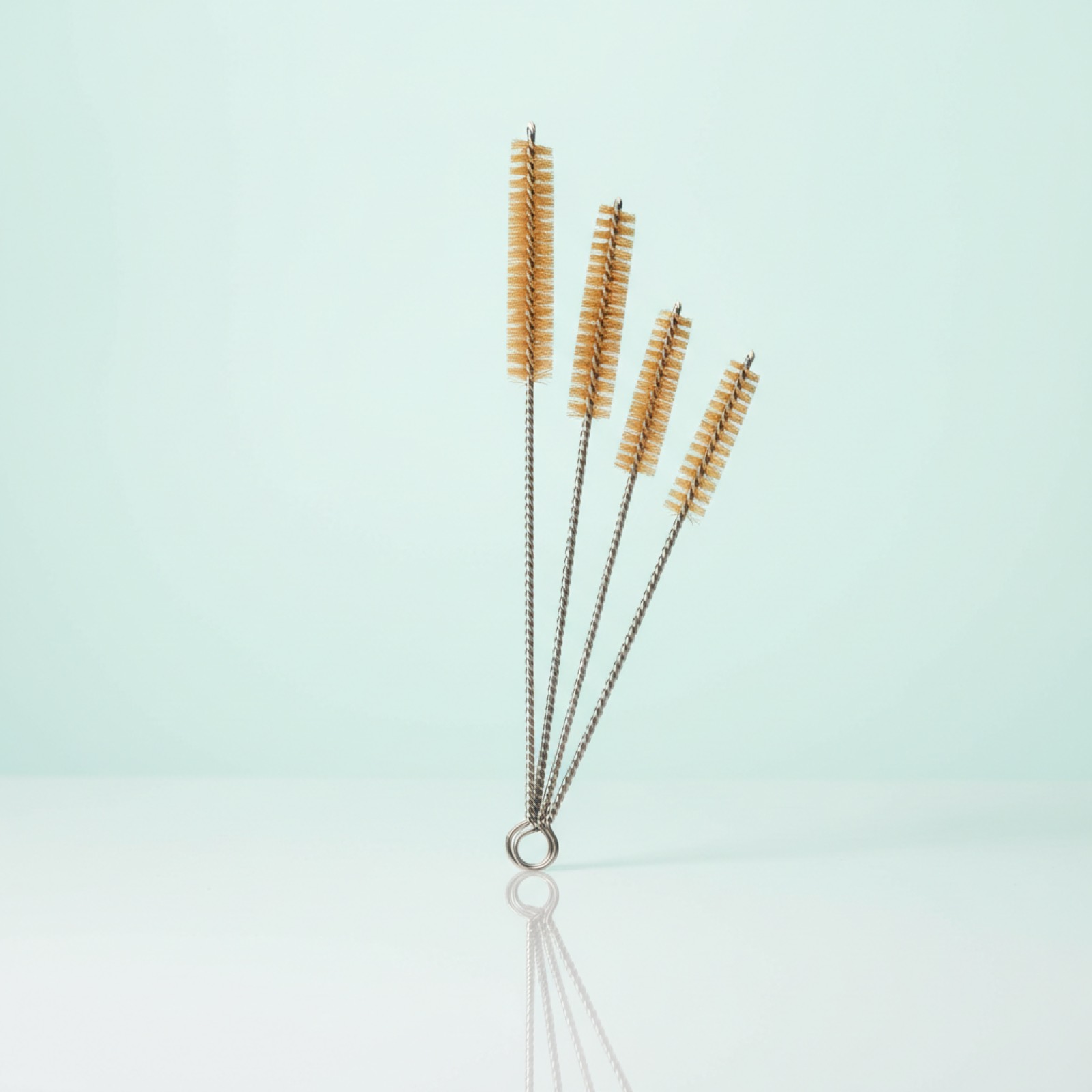 Goupillon à Pailles (lot de 4)